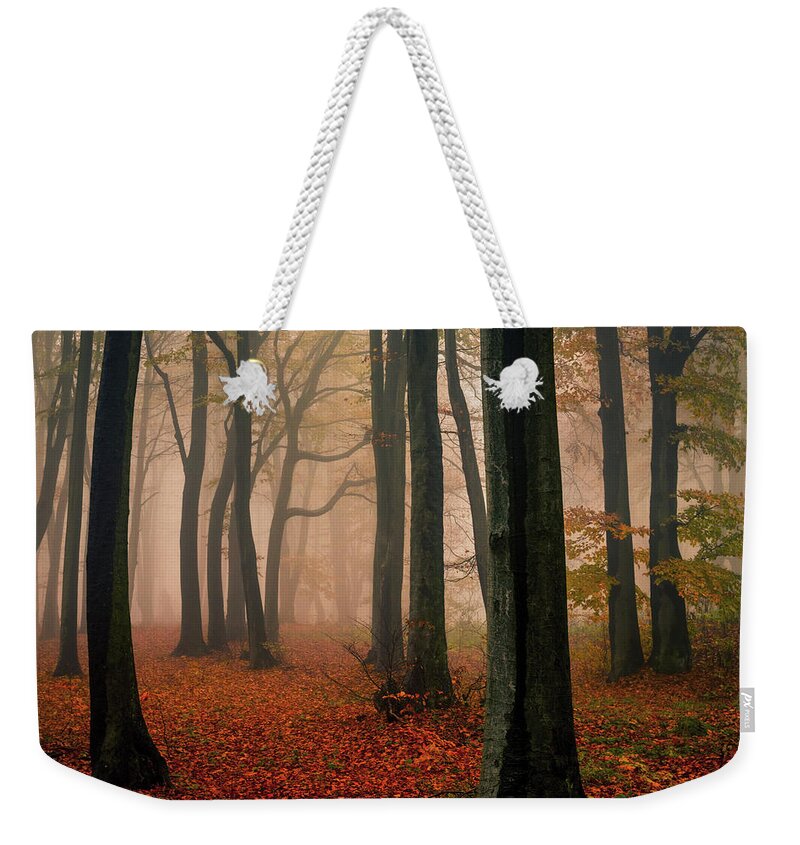 Balkan Mountains Weekender Tote Bag featuring the photograph Misty Autumn Forest by Evgeni Dinev