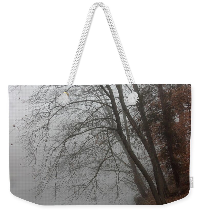 Winter Weekender Tote Bag featuring the photograph Misty Morning Mood by Karen Adams