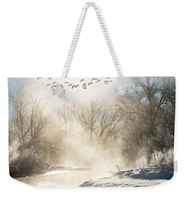 Fog Weekender Tote Bag featuring the photograph Misty Winter Scene by Judi Dressler