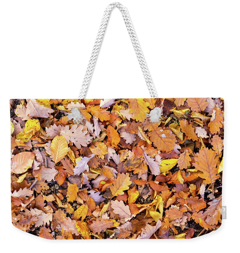 Autumn Weekender Tote Bag featuring the photograph Mixture of leaves fallen in forest in autumn fall by Viktor Wallon-Hars