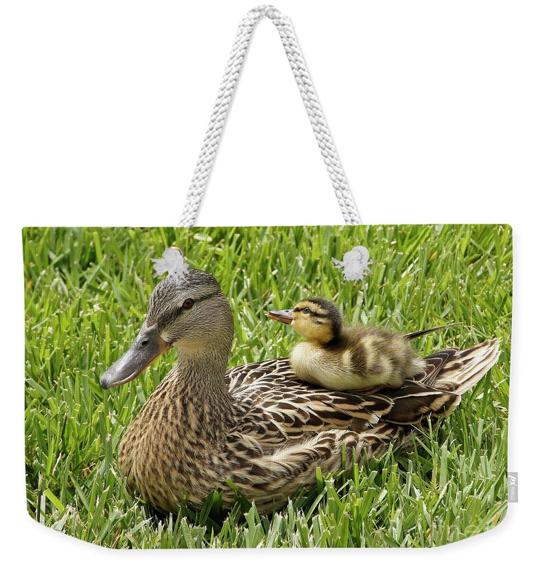 Duck Weekender Tote Bag featuring the photograph Mom and Me by Michele Burgess