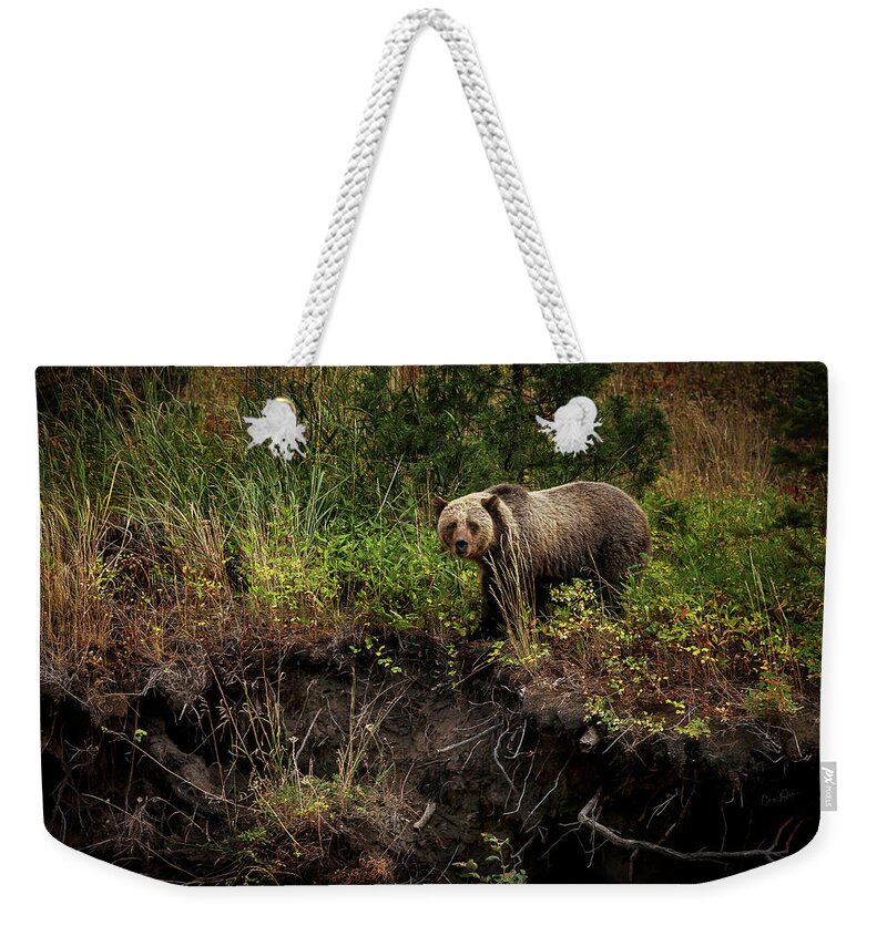 Landscape Weekender Tote Bag featuring the photograph Moma Bear on North Fork by Craig J Satterlee