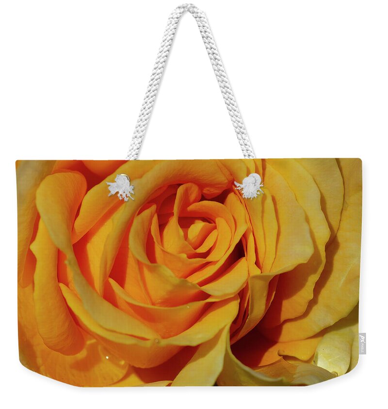 Yellow Weekender Tote Bag featuring the photograph Moms Rose 28x28 by Gary Langley