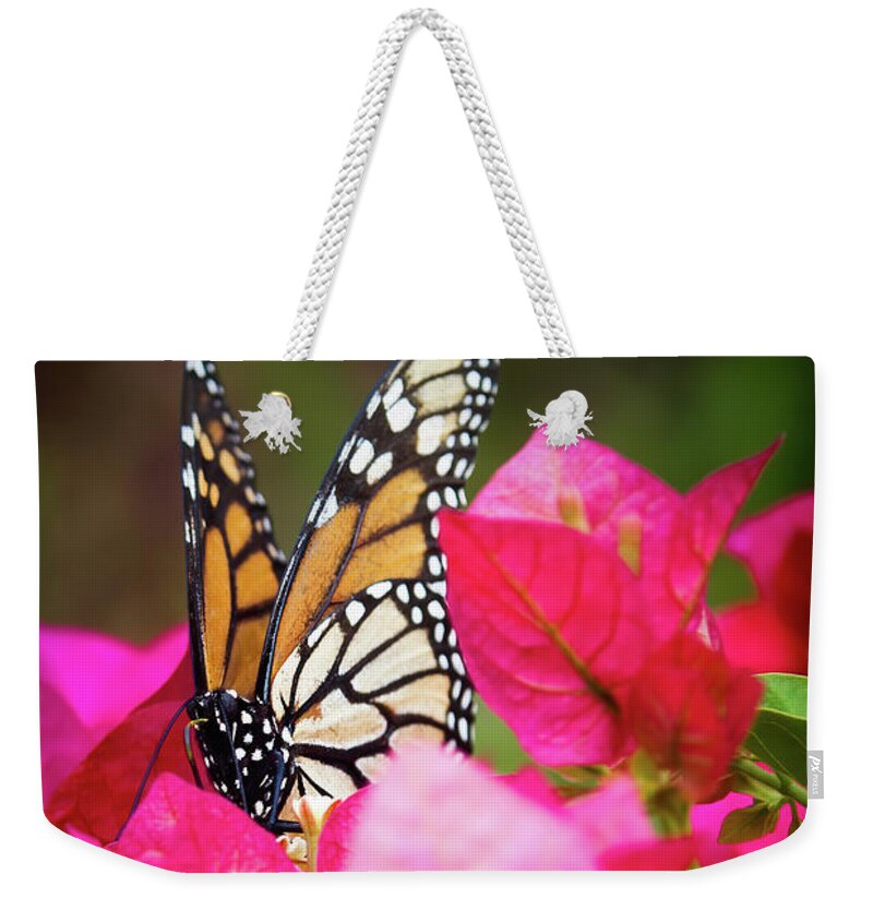 Animal Weekender Tote Bag featuring the photograph Monarch butterfly on a red bougainvillea by Jean-Luc Farges