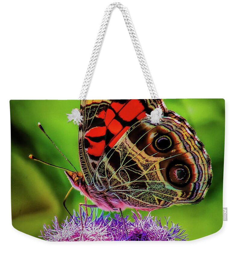 Butteryfly Weekender Tote Bag featuring the photograph Monarch on Flowers by Nick Zelinsky Jr