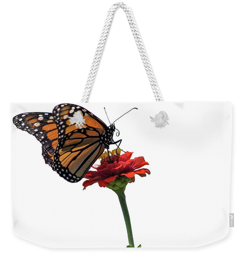 Monarch Butterfly Weekender Tote Bag featuring the photograph Monarch on Red ZInnia by Tamara Becker