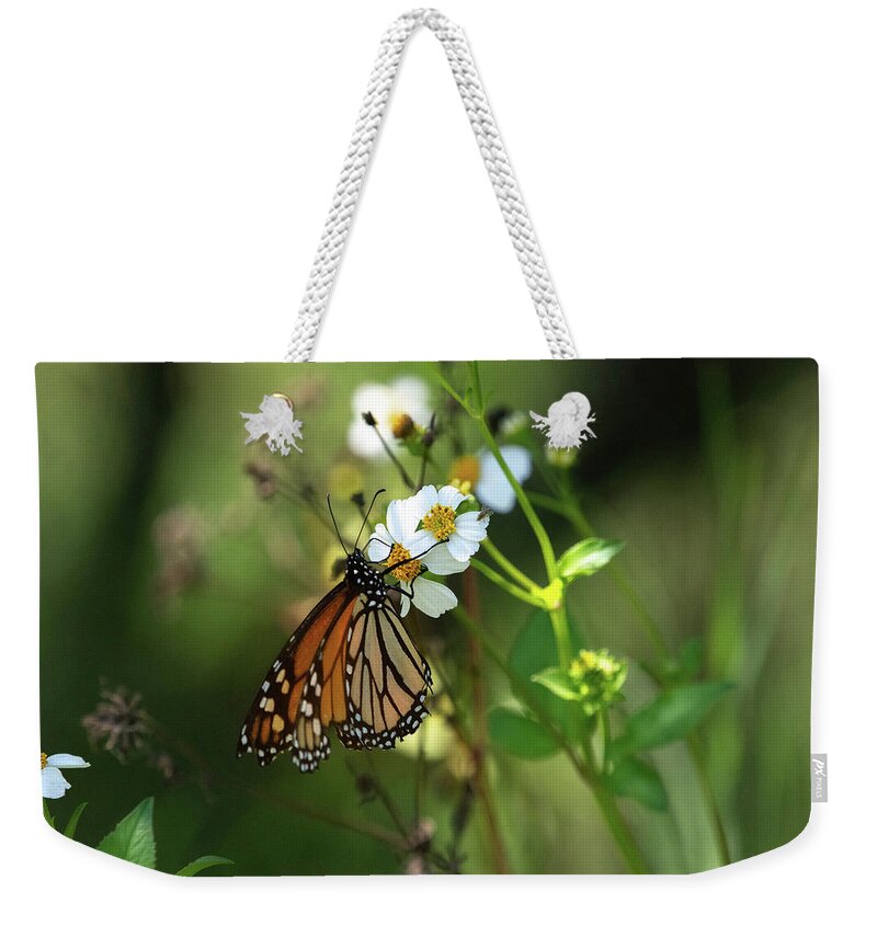 Monarch Weekender Tote Bag featuring the photograph Monarch Butterfly by Rebecca Herranen