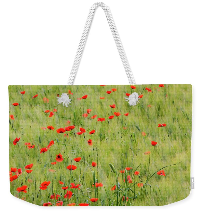 Vertical;wheat;red;poppies;green; Tuscany Weekender Tote Bag featuring the photograph Monet Field of Poppies in Wheat Field by Eggers Photography