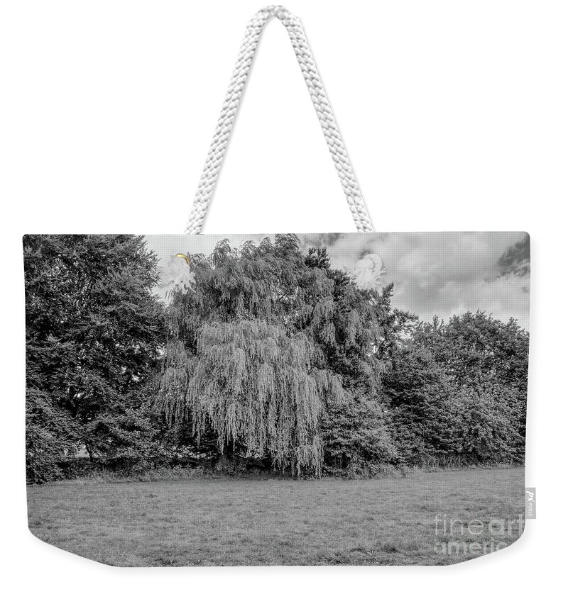 Monochrome Weekender Tote Bag featuring the photograph Monochrome of a weeping willow tree by Pics By Tony