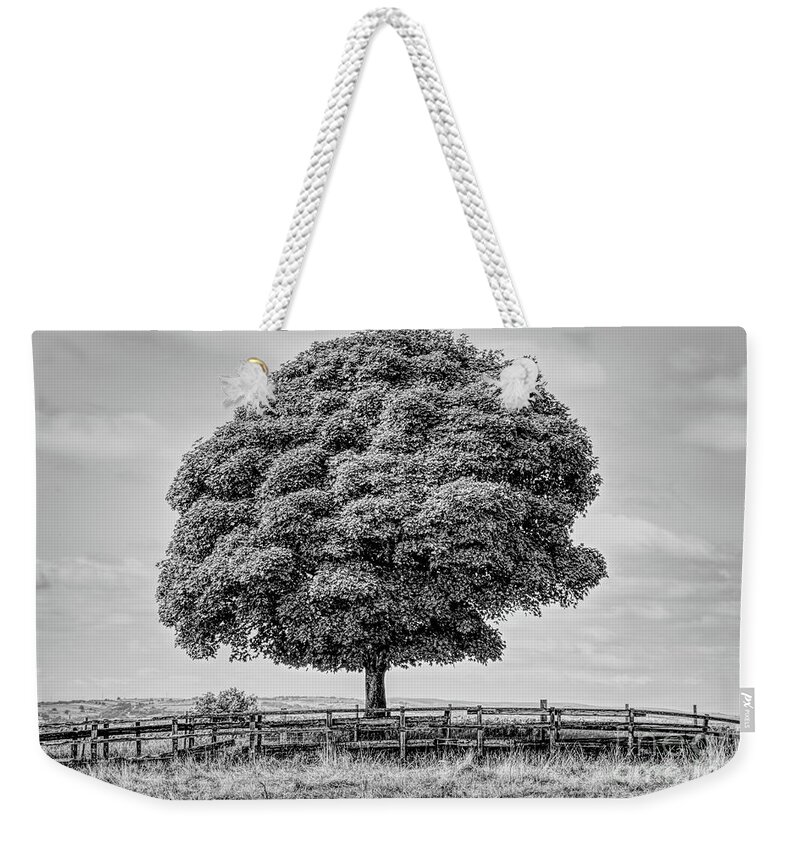 Monochrome Weekender Tote Bag featuring the photograph Monochrome tree in Heywood Gtr Manchester, UK by Pics By Tony