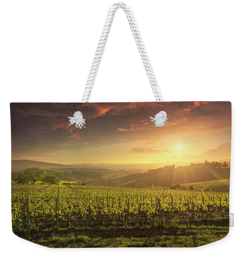 Vineyards Weekender Tote Bag featuring the photograph Montalcino vineyards at sunset. Tuscany, Italy by Stefano Orazzini