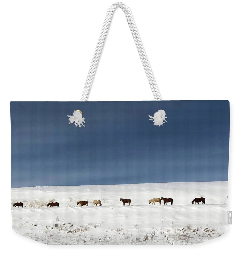 Wild Horses Weekender Tote Bag featuring the photograph Montana wild horses crossing in winter by Tatiana Travelways