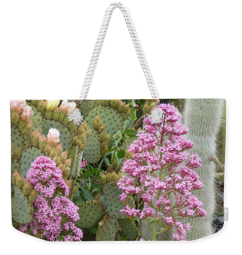 Monterey Weekender Tote Bag featuring the photograph Monterey Color by Gordon Beck