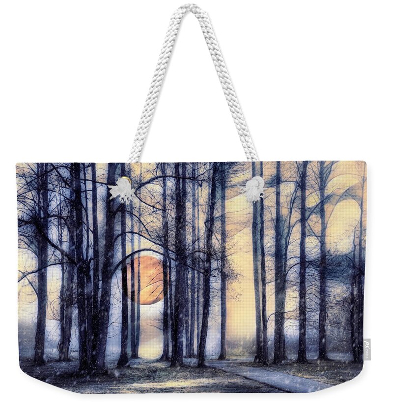 Carolina Weekender Tote Bag featuring the photograph Moonglow in the Winter by Debra and Dave Vanderlaan