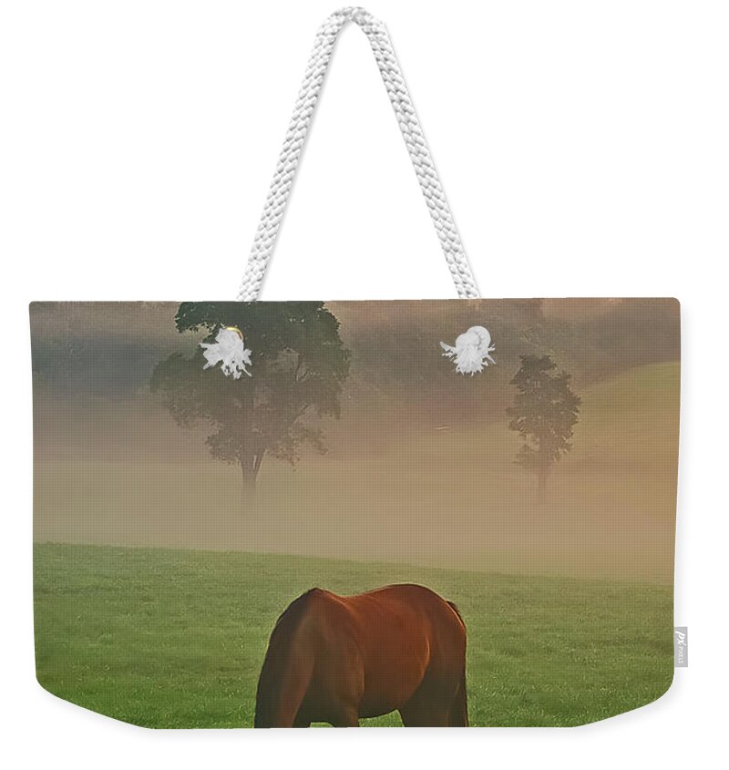 Horses Weekender Tote Bag featuring the photograph Morning at the pasture. by Ulrich Burkhalter