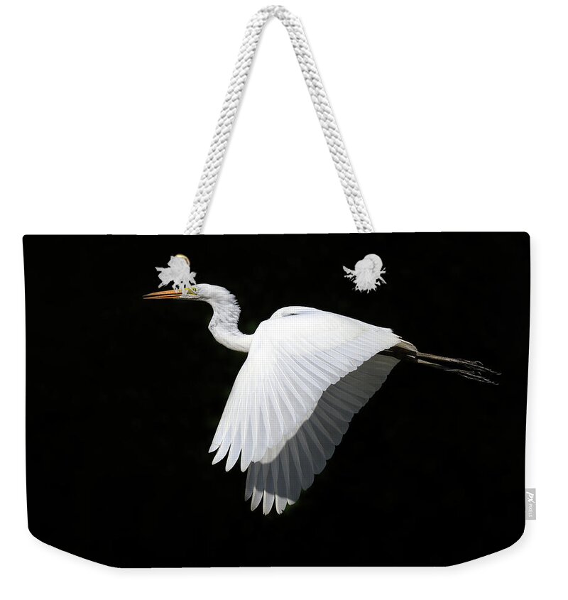 Bird Weekender Tote Bag featuring the photograph Morning Contrasts by Art Cole