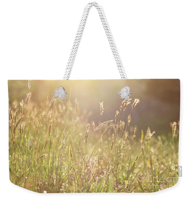 Meadow Weekender Tote Bag featuring the photograph Morning Dew by Alyssa Tumale