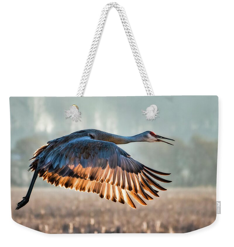Crane Weekender Tote Bag featuring the photograph Morning Flight by Brad Bellisle
