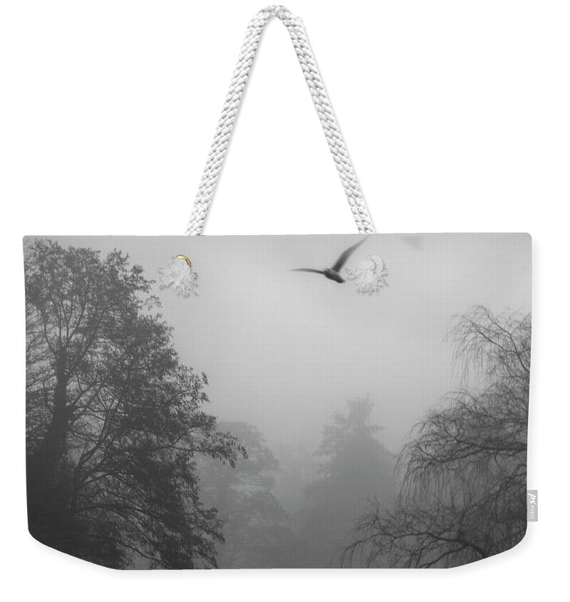 Misty Weekender Tote Bag featuring the photograph Morning Flight by Daniel M Walsh