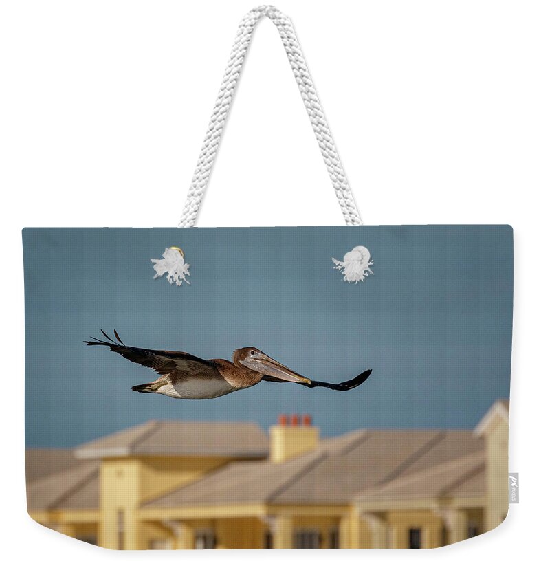 Pelican Weekender Tote Bag featuring the photograph Morning Flight by Les Greenwood