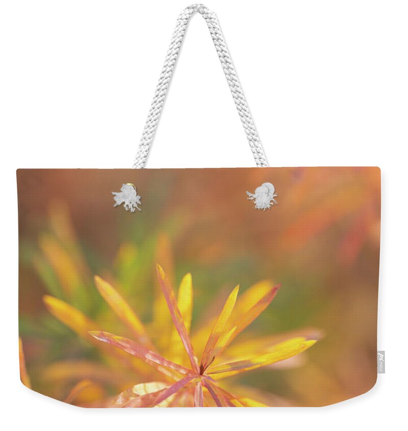 Macro Weekender Tote Bag featuring the photograph Morning Fresh by Darren White