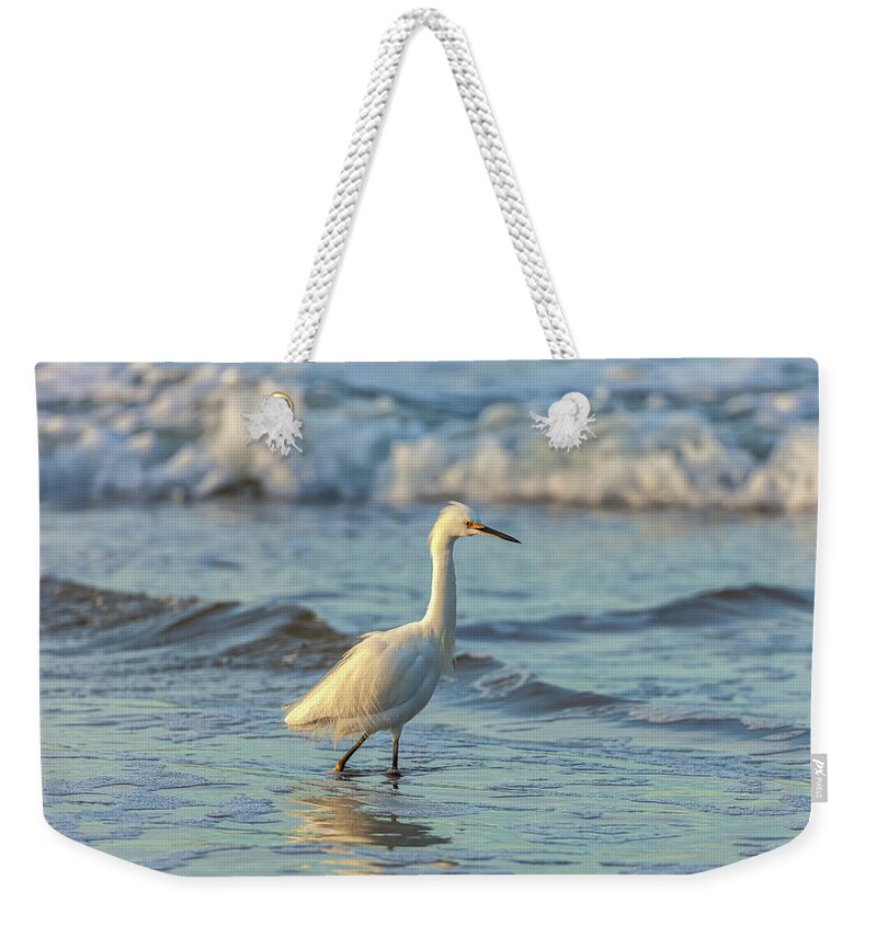 American Wildlife Weekender Tote Bag featuring the photograph Morning Hunt by Jonathan Nguyen