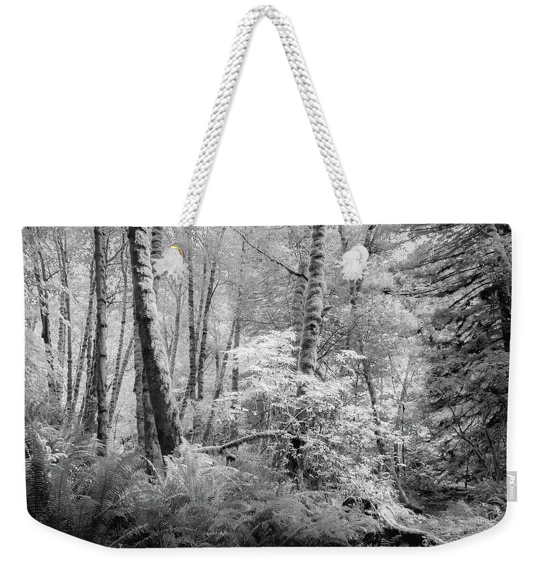 Black And White Weekender Tote Bag featuring the photograph Morning in the Forest by Lynn Wohlers