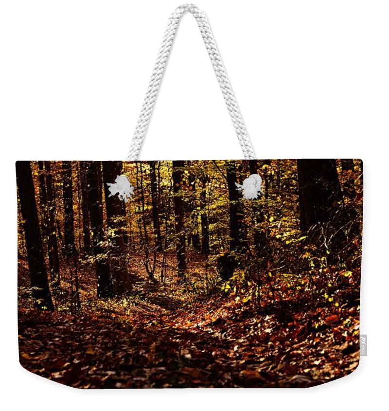 Photography Weekender Tote Bag featuring the photograph Morning Light in Autumn by Larry Ricker