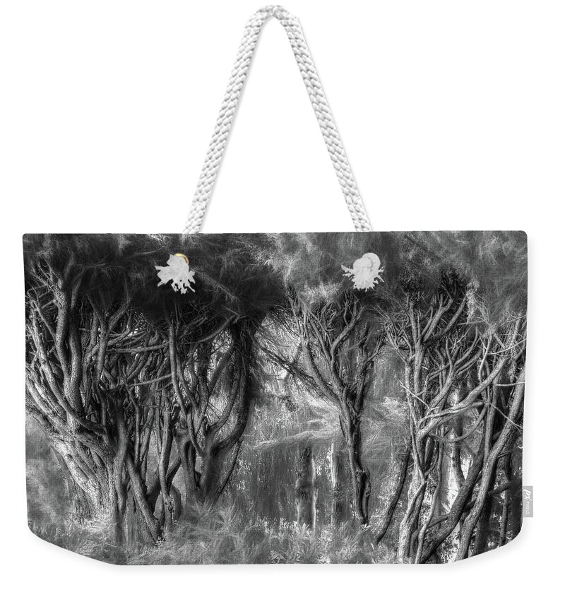 California Weekender Tote Bag featuring the photograph Morning Light in the Bay Forest by Wayne King