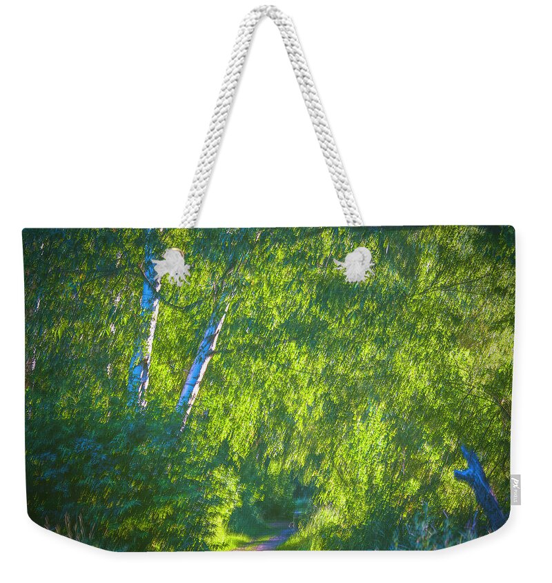 Morning Light Weekender Tote Bag featuring the photograph Morning Light #j9 by Leif Sohlman