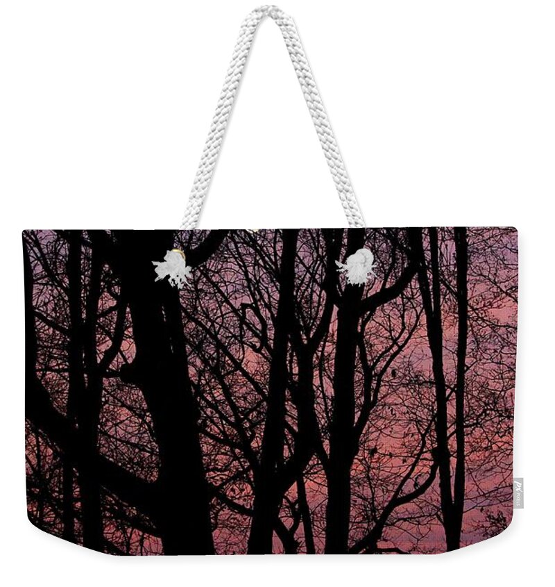 Moon Weekender Tote Bag featuring the photograph Morning Moon by Mary Walchuck