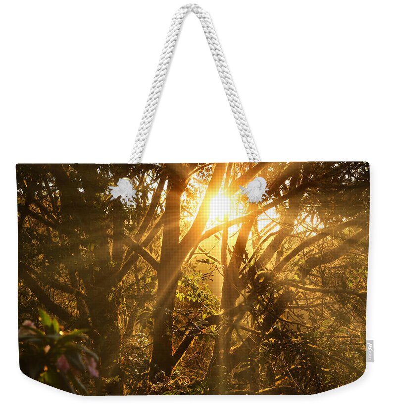 Sunrise Weekender Tote Bag featuring the photograph Morning on a Mountain Trail by IK Hadinger