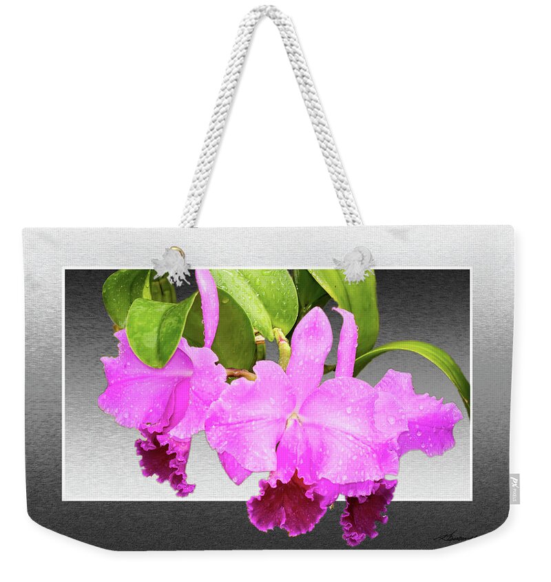 Color Weekender Tote Bag featuring the photograph Morning Orchids by Alan Hausenflock