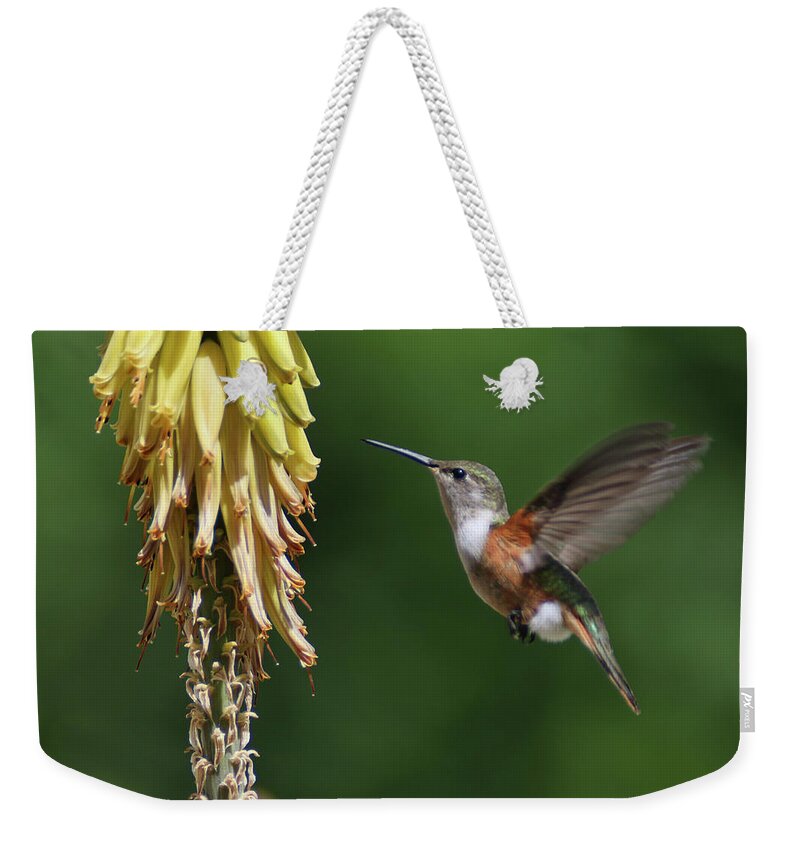 Humming Bird Weekender Tote Bag featuring the photograph Morning Stop by Montez Kerr