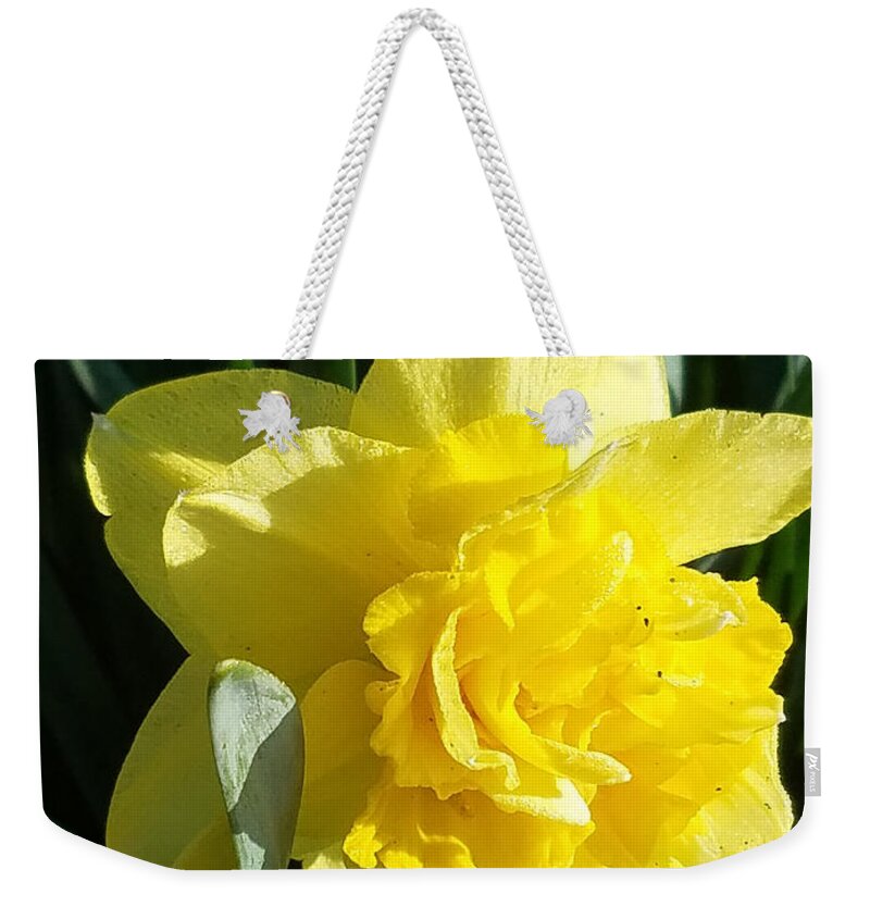 Flowers Weekender Tote Bag featuring the photograph Morning Sun by Brent Knippel