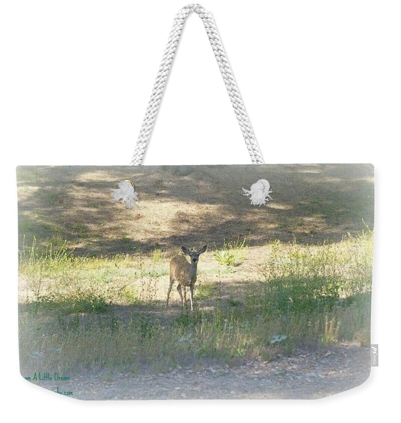 Weekender Tote Bag featuring the photograph Morning Sun by Kristy Urain