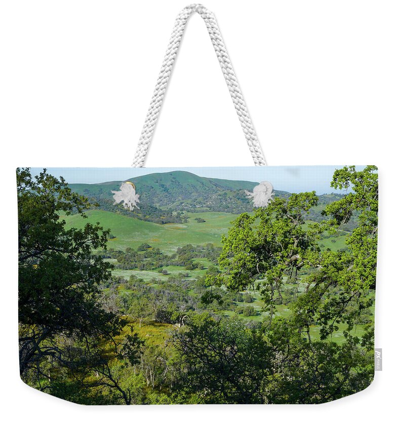 Spring Weekender Tote Bag featuring the photograph Morning Vista Blue Ridge by Brett Harvey