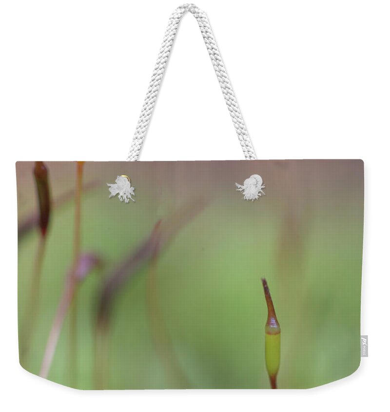 Moss Weekender Tote Bag featuring the photograph Moss Closeup by Phil And Karen Rispin