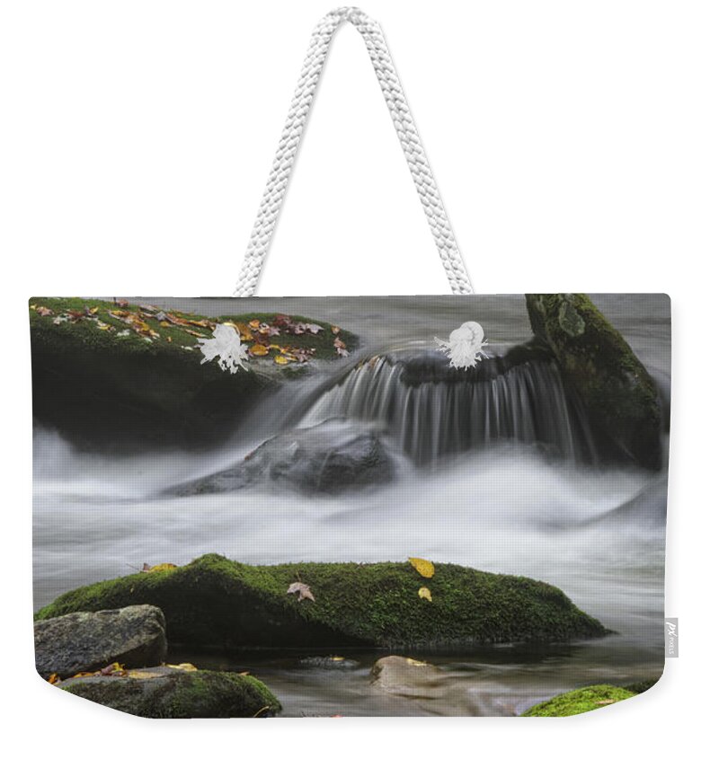 Tennessee Weekender Tote Bag featuring the photograph Moss On Middle Prong 2 by Phil Perkins