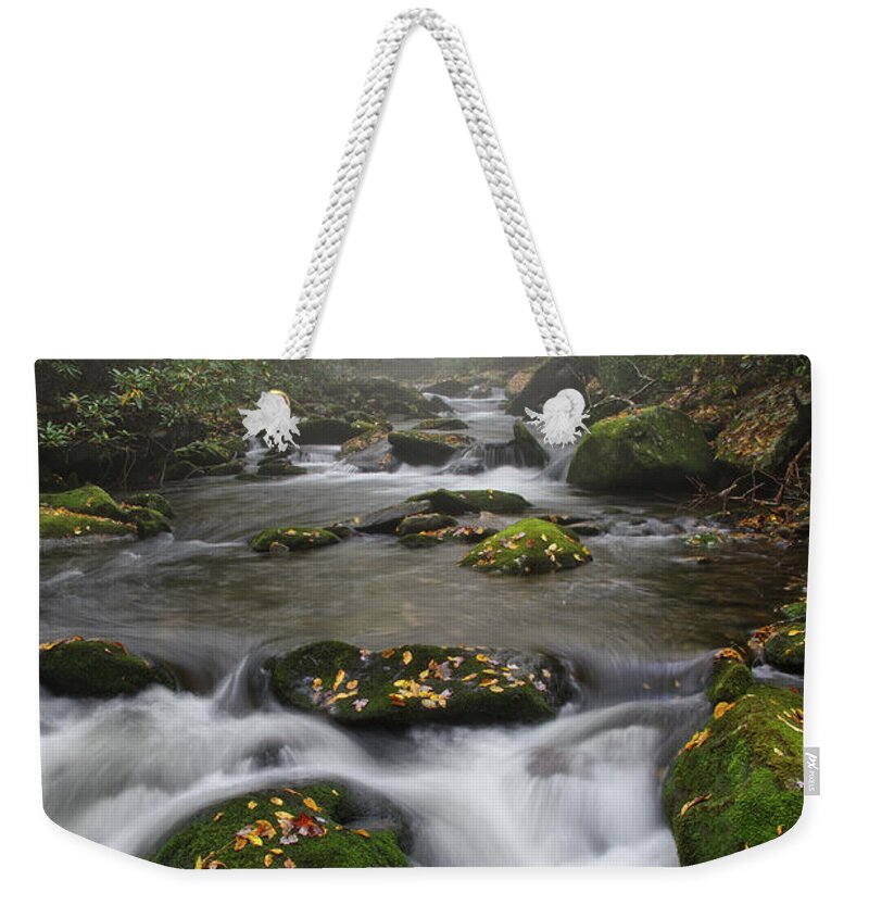 Middle Prong Trail Weekender Tote Bag featuring the photograph Moss On Middle Prong 4 by Phil Perkins