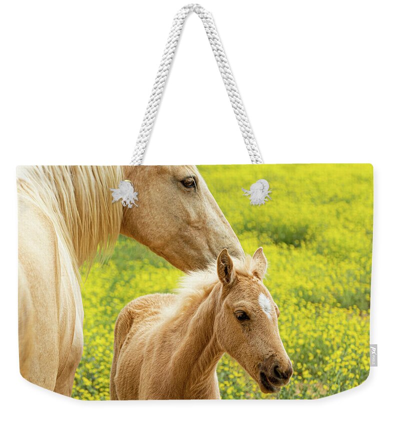 Horse Weekender Tote Bag featuring the photograph Mother and daughter by Jamie Tyler