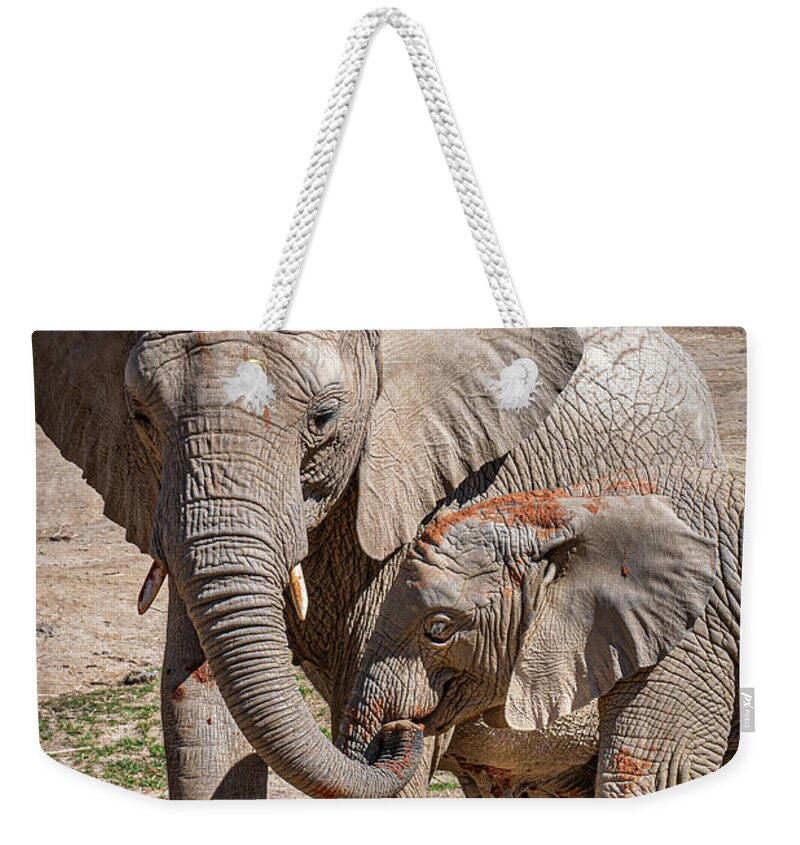 Animals Weekender Tote Bag featuring the photograph Mother and Daughter Lunch by David Levin