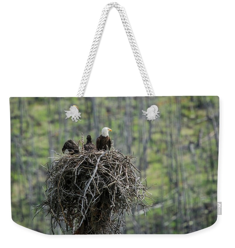 Eagle Weekender Tote Bag featuring the photograph Mother Bald Eagle by Bill Cubitt