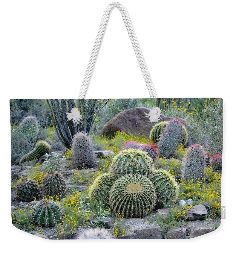Golden Barrel Cactus Weekender Tote Bag featuring the photograph Golden Barrel Cactus - Mother-in-law's Cushion, Palm Desert, CA. by Bonnie Colgan