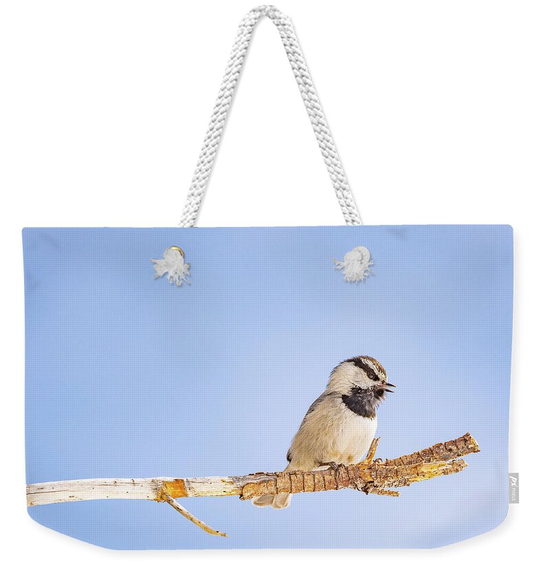 2020 Weekender Tote Bag featuring the photograph Mountain Chickadee in Color by Erin K Images