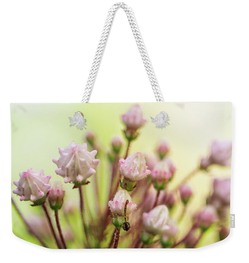 Mcdowell County Weekender Tote Bag featuring the photograph Mountain Laurel Buds by Joni Eskridge