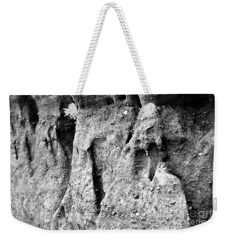 Black Mountain Weekender Tote Bag featuring the photograph Mountain Macro by Phil Perkins
