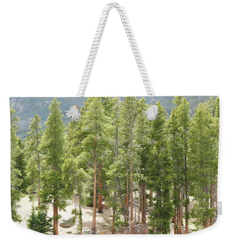 Mountain Weekender Tote Bag featuring the photograph Mountain Reflections by Marilyn Hunt
