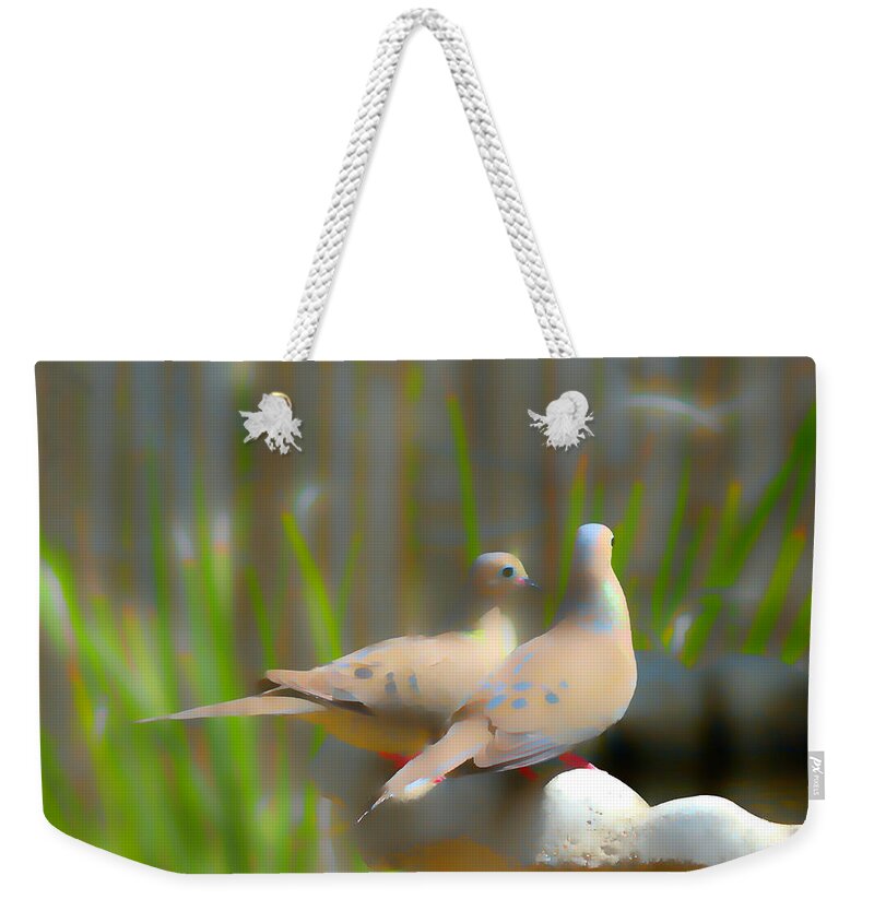 Doves Weekender Tote Bag featuring the photograph Mourning Doves by Alison Belsan Horton