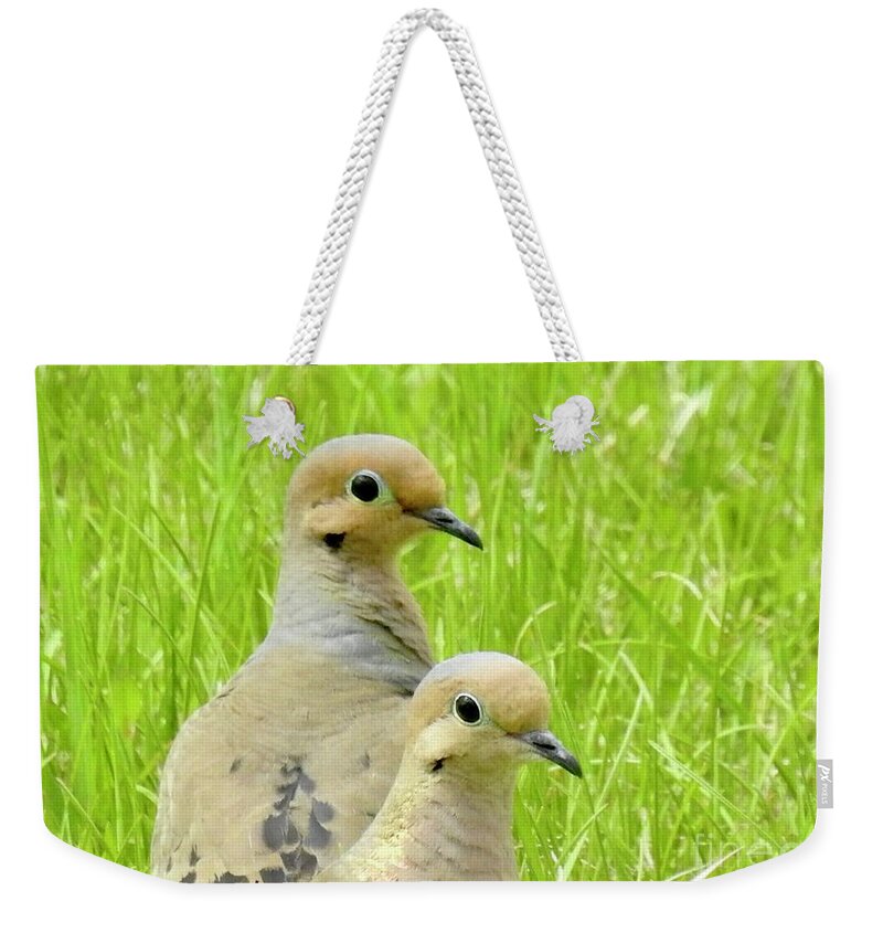 Mourning Doves. Cariboo Birds. Weekender Tote Bag featuring the photograph Mourning Doves by Nicola Finch
